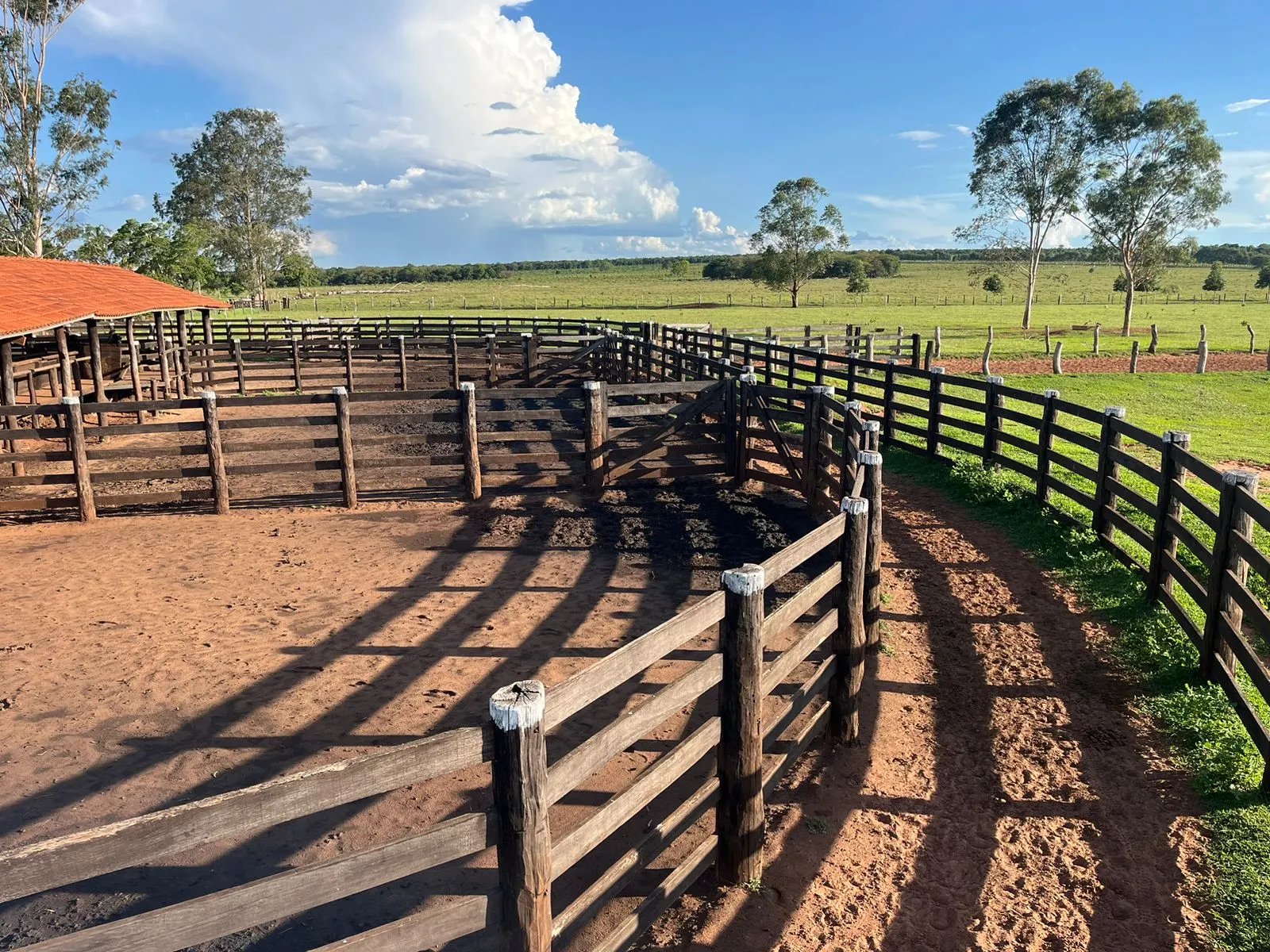 Fazenda à venda de 3.005 ha em Ribas do Rio Pardo, MS, Brasil