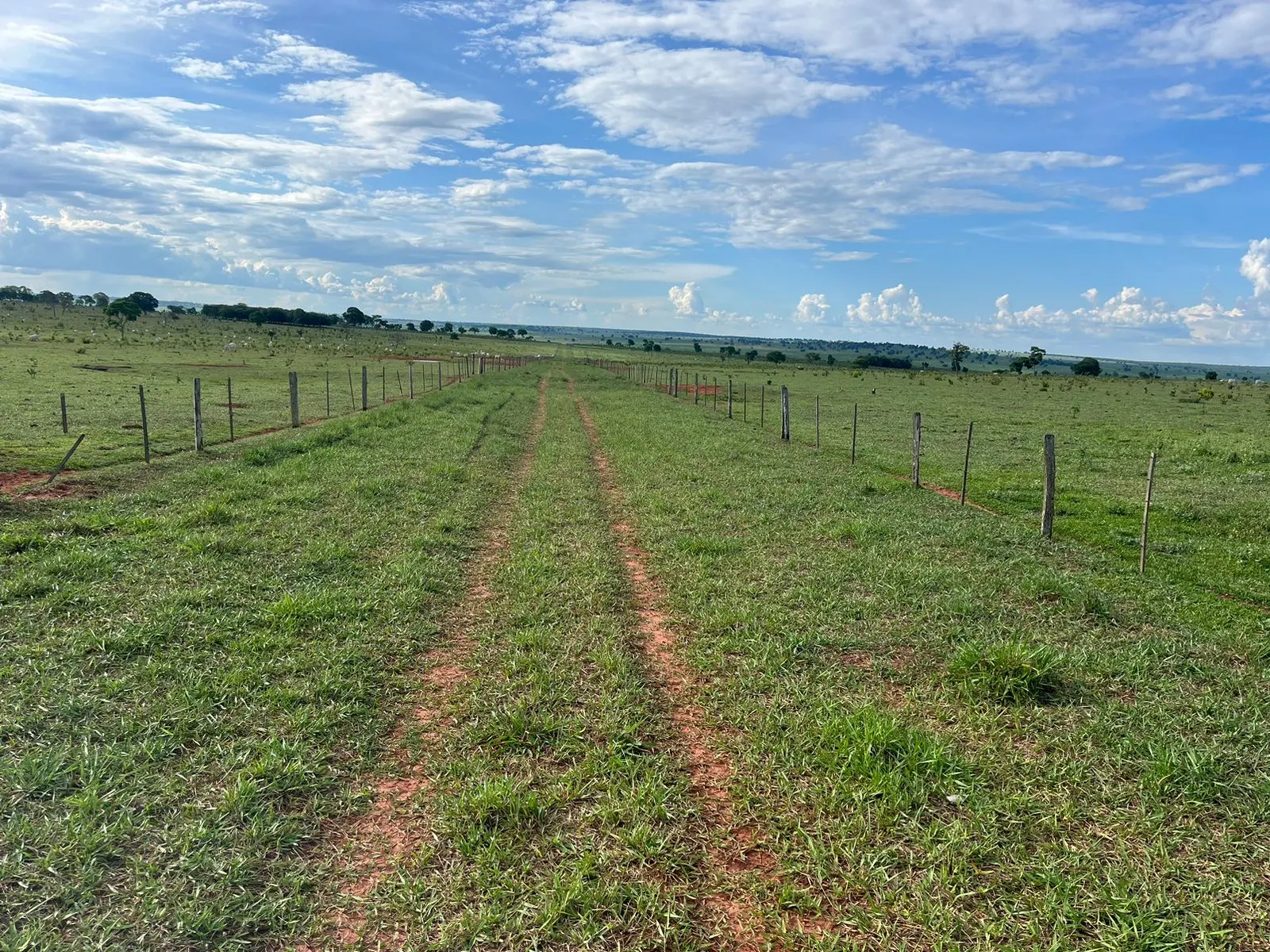 Fazenda à venda de 3.005 ha em Ribas do Rio Pardo, MS, Brasil