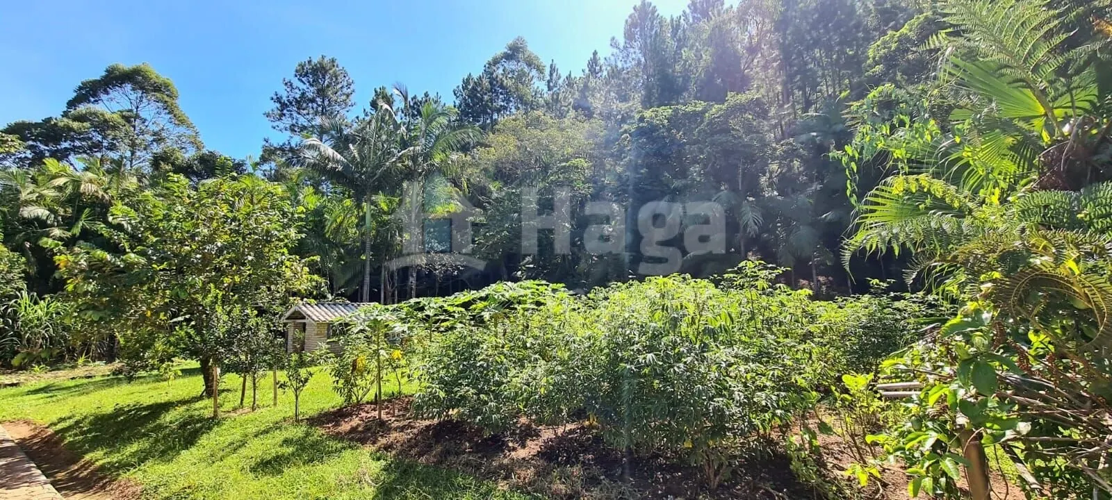 Chácara à venda de 7.000 m² em Canelinha, SC, Brasil