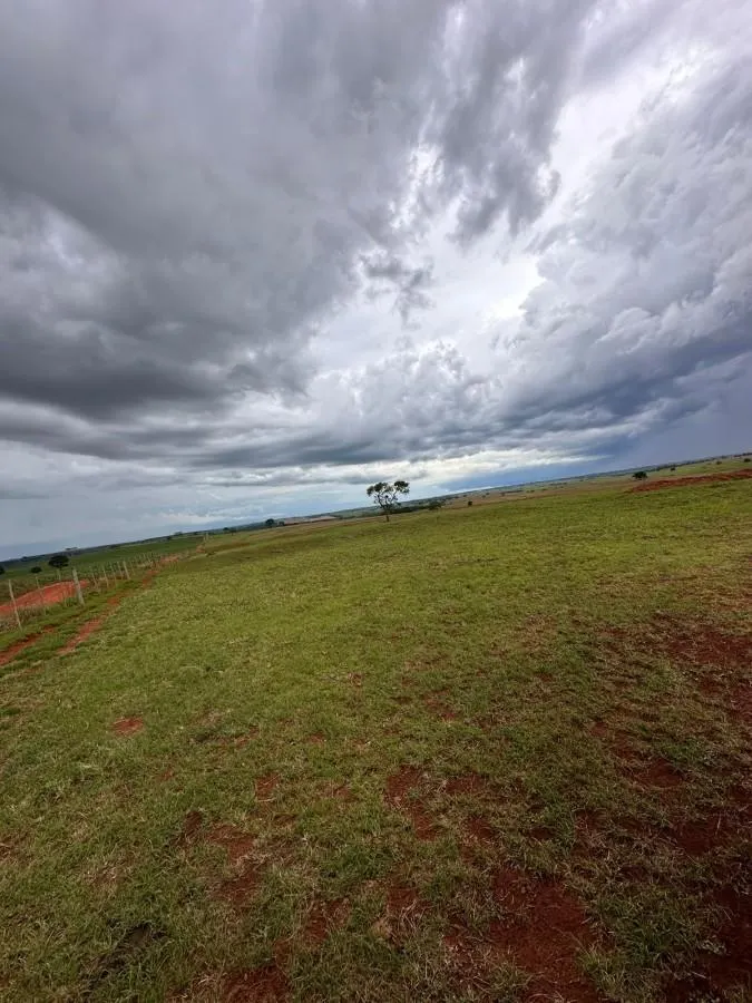 Fazenda à venda de 573 ha em Rancharia, SP, Brasil