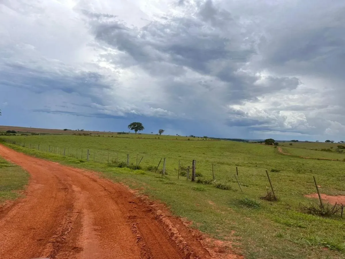 Fazenda à venda de 573 ha em Rancharia, SP, Brasil