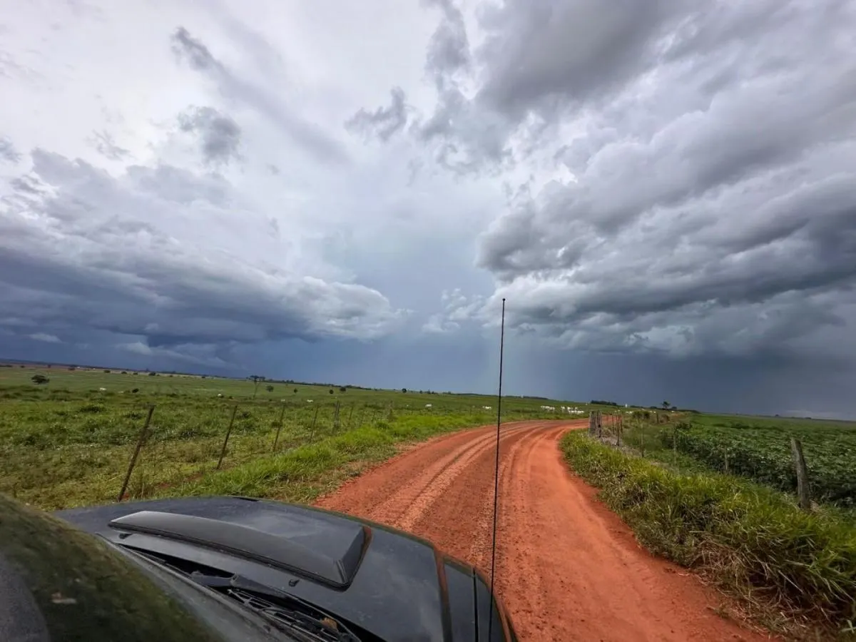 Fazenda à venda de 573 ha em Rancharia, SP, Brasil