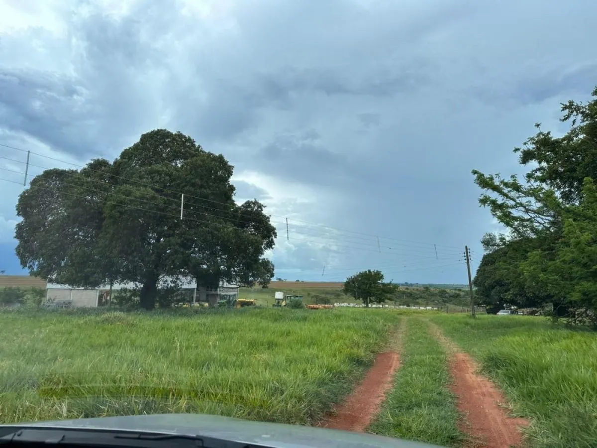 Fazenda à venda de 573 ha em Rancharia, SP, Brasil