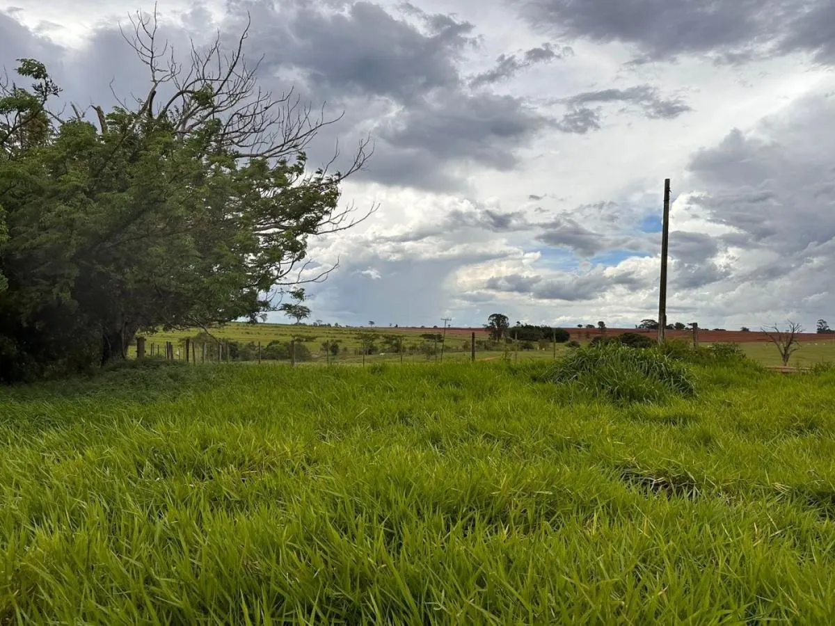 Fazenda à venda de 573 ha em Rancharia, SP, Brasil