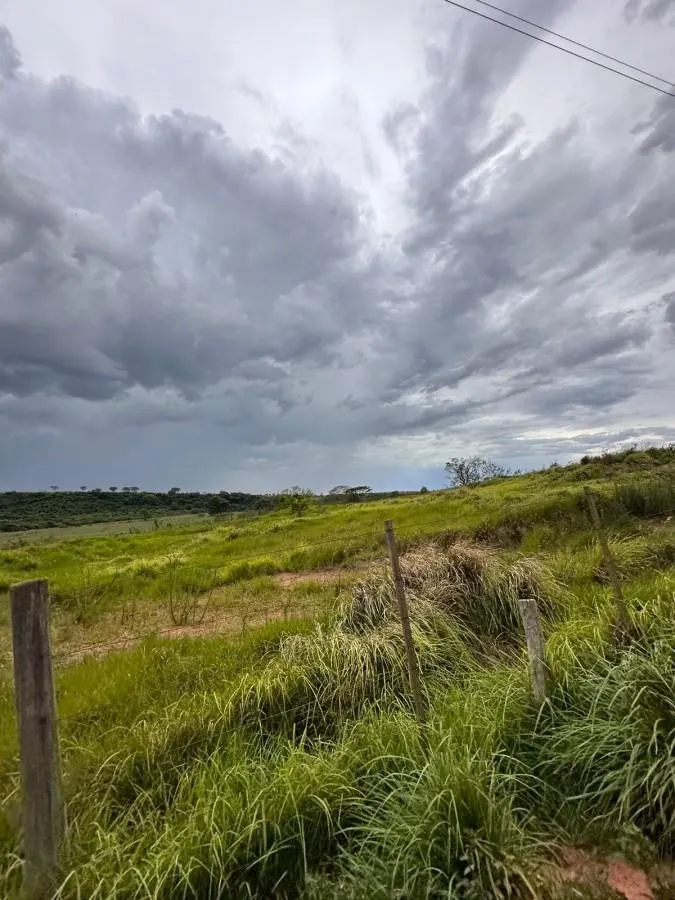 Fazenda à venda de 573 ha em Rancharia, SP, Brasil
