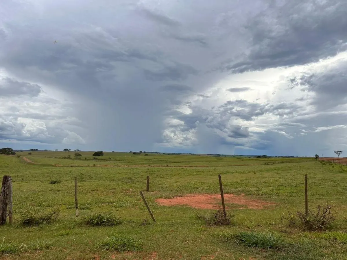 Fazenda à venda de 573 ha em Rancharia, SP, Brasil