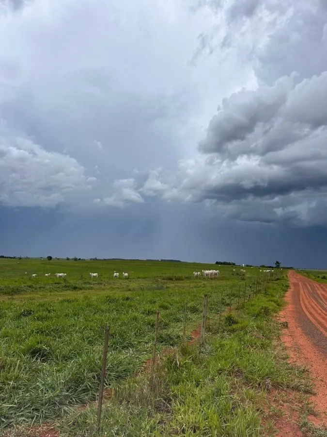 Fazenda à venda de 573 ha em Rancharia, SP, Brasil