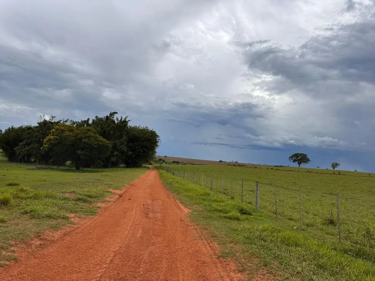 Fazenda à venda de 573 ha em Rancharia, SP, Brasil