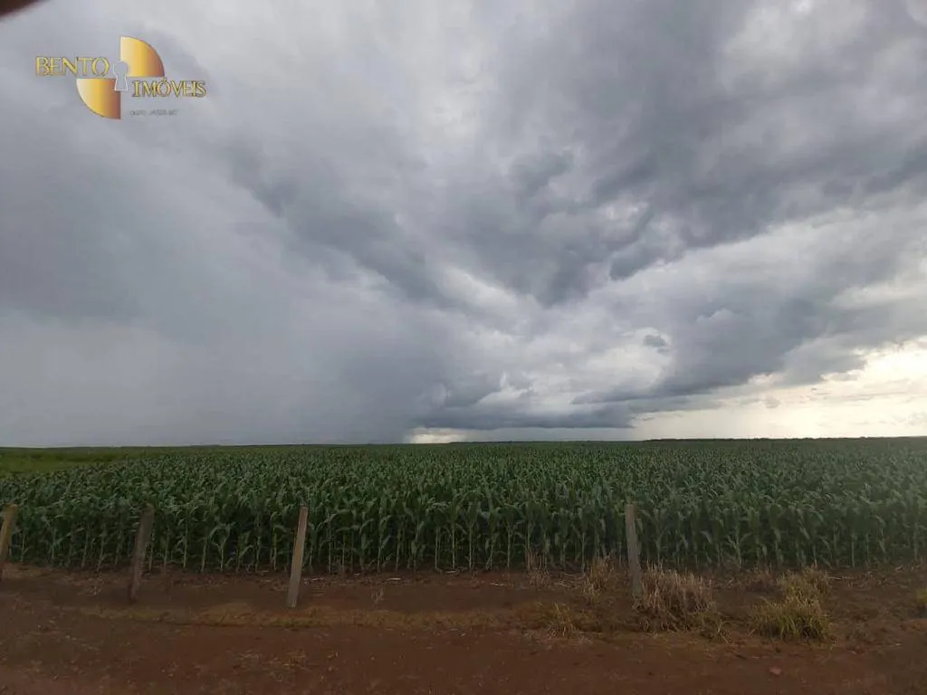 Fazenda à venda de 1.998 ha em Tapurah, MT, Brasil