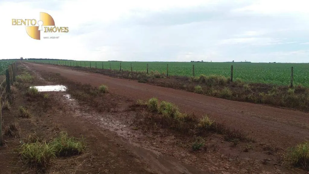 Fazenda à venda de 1.998 ha em Tapurah, MT, Brasil