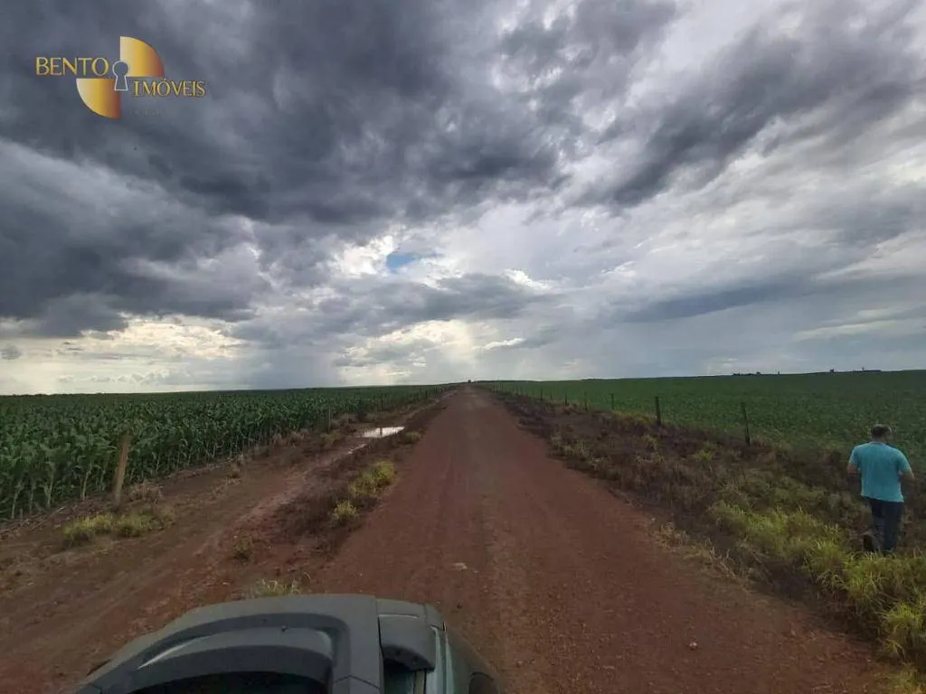 Fazenda à venda de 1.998 ha em Tapurah, MT, Brasil