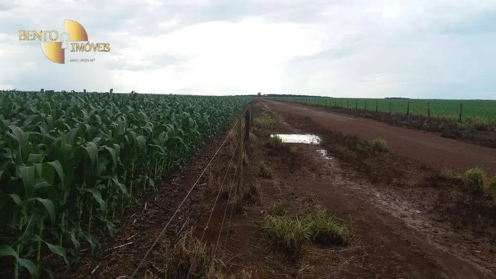 Fazenda à venda de 1.998 ha em Tapurah, MT, Brasil
