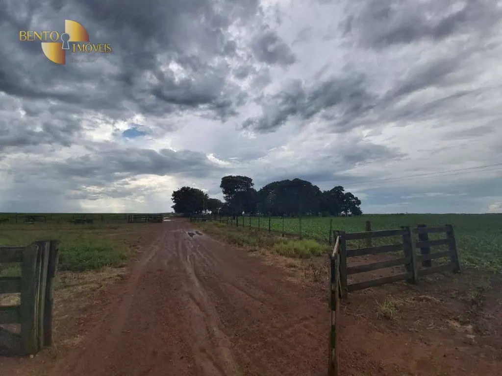 Fazenda à venda de 1.998 ha em Tapurah, MT, Brasil