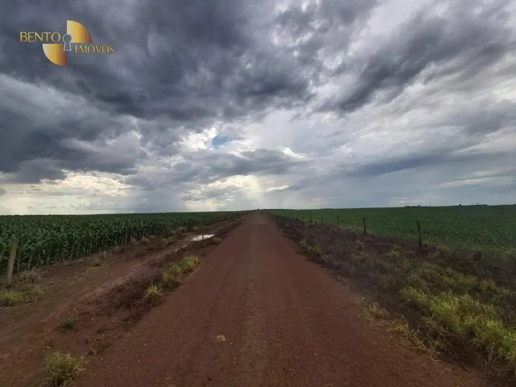 Fazenda à venda de 1.998 ha em Tapurah, MT, Brasil