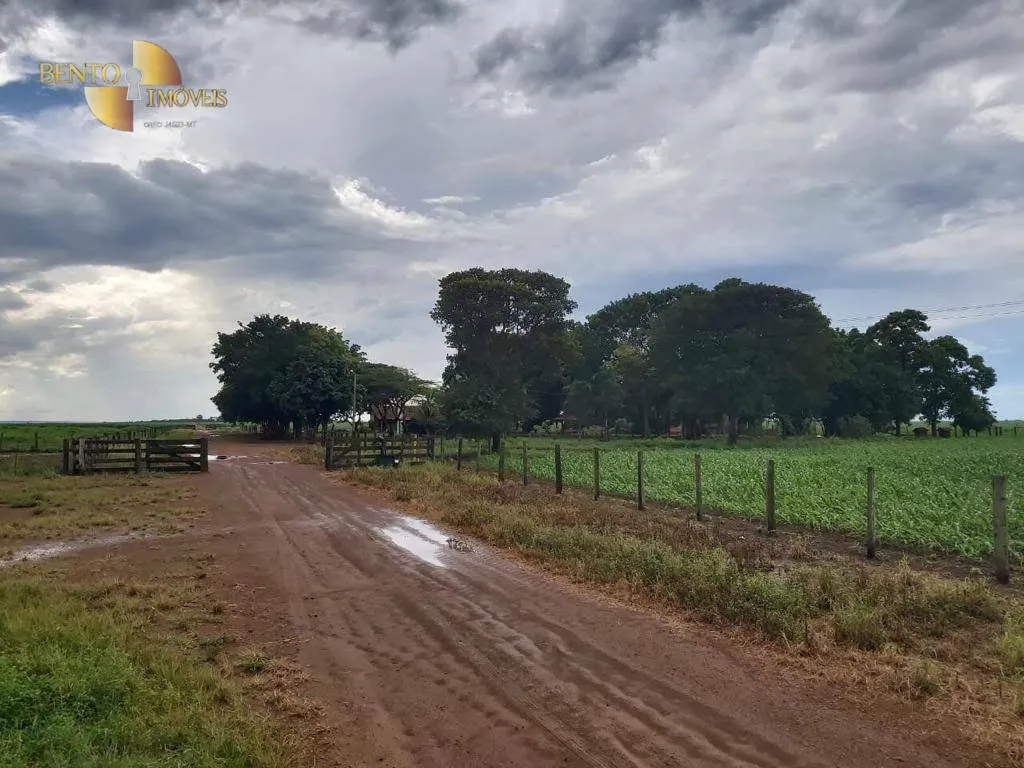 Fazenda à venda de 1.998 ha em Tapurah, MT, Brasil