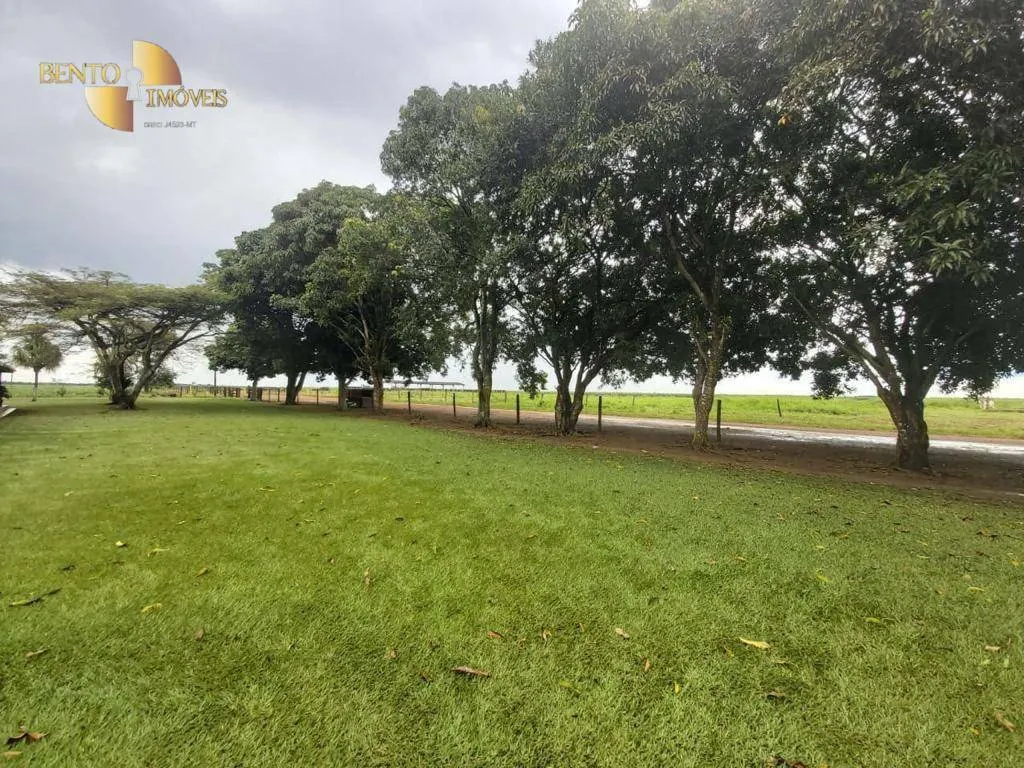Fazenda à venda de 1.998 ha em Tapurah, MT, Brasil