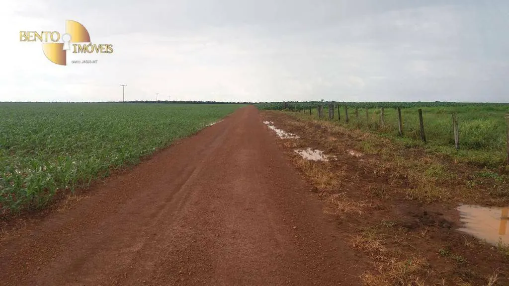 Fazenda à venda de 1.998 ha em Tapurah, MT, Brasil
