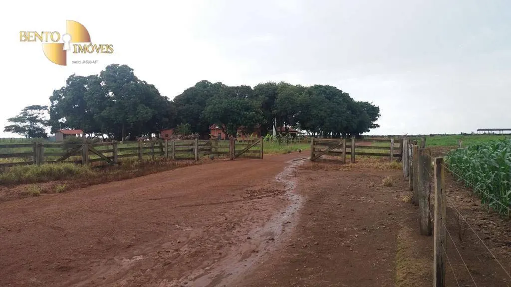 Fazenda à venda de 1.998 ha em Tapurah, MT, Brasil