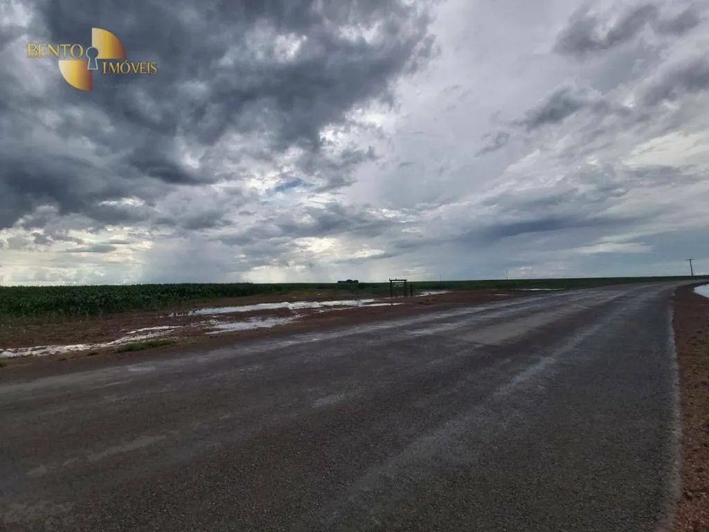 Fazenda à venda de 1.998 ha em Tapurah, MT, Brasil