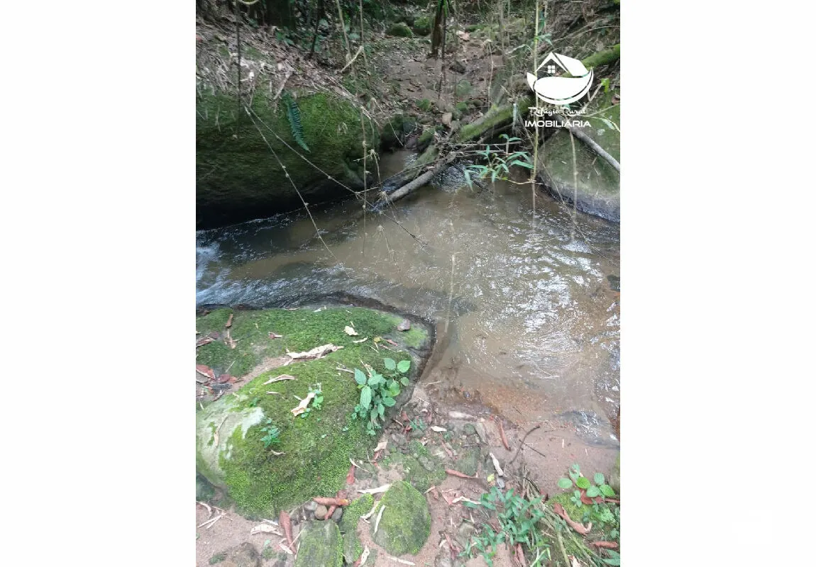 Small farm for sale of 10 acres in São José dos Campos, SP, Brazil