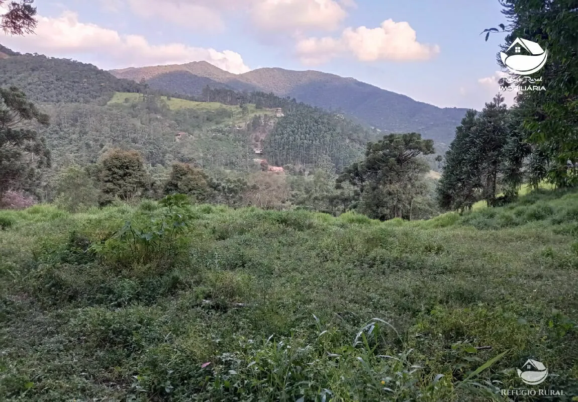 Small farm for sale of 10 acres in São José dos Campos, SP, Brazil