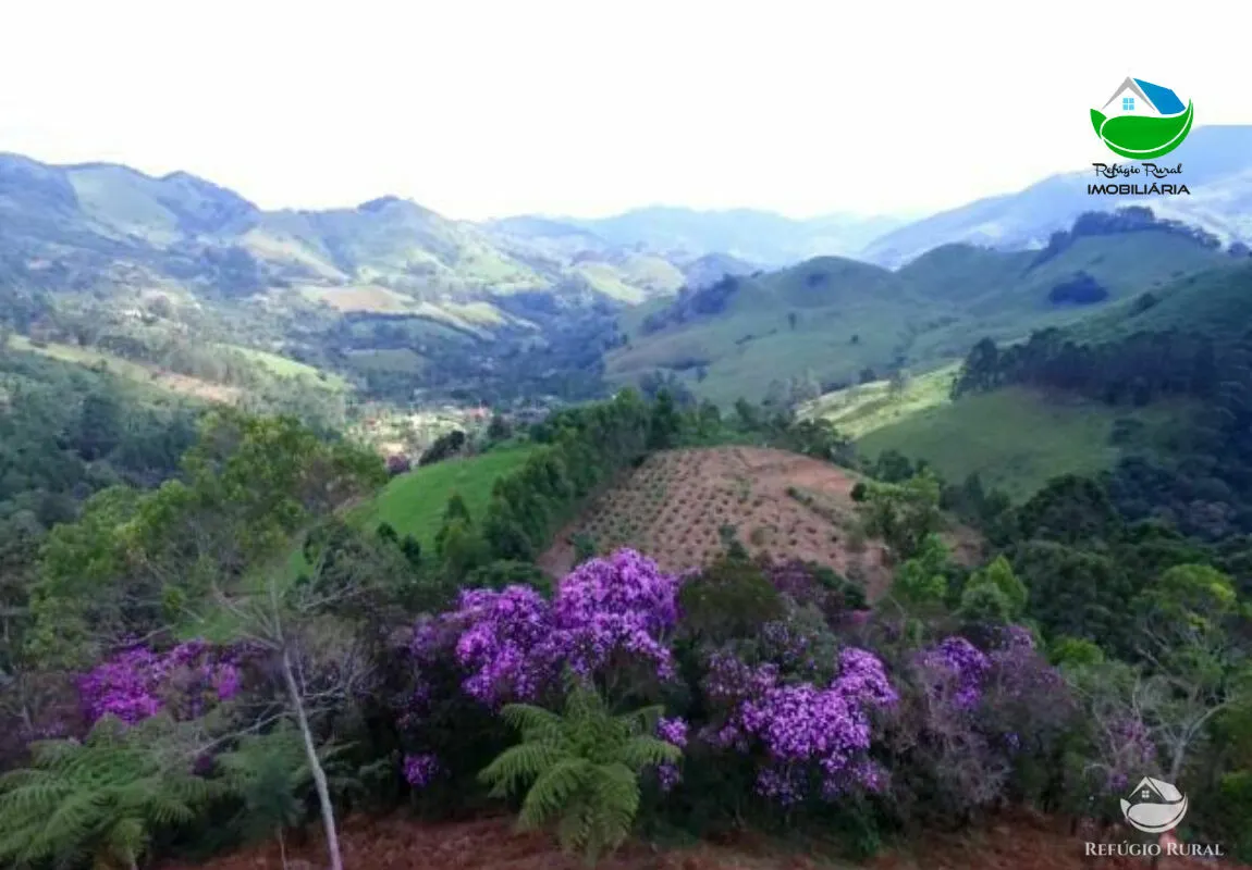 Small farm for sale of 10 acres in São José dos Campos, SP, Brazil