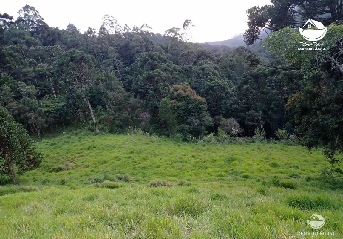 Small farm for sale of 10 acres in São José dos Campos, SP, Brazil