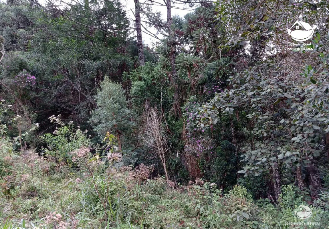 Small farm for sale of 10 acres in São José dos Campos, SP, Brazil