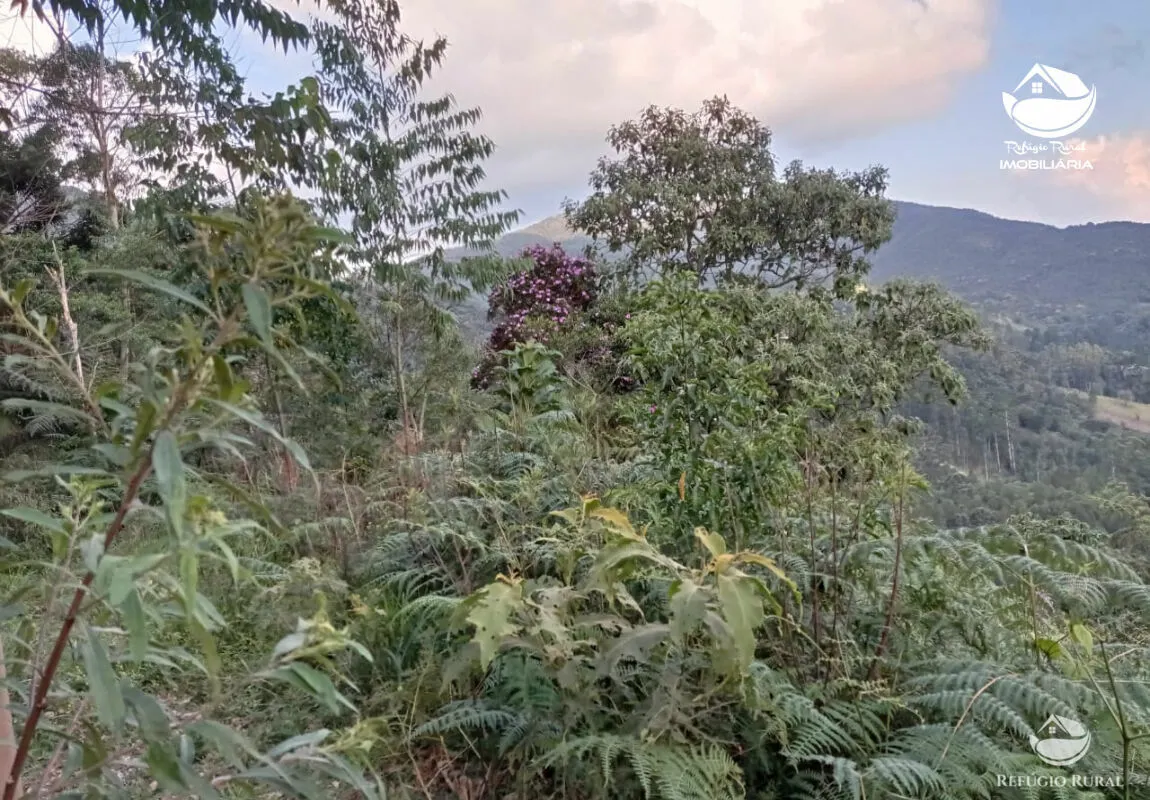 Small farm for sale of 10 acres in São José dos Campos, SP, Brazil