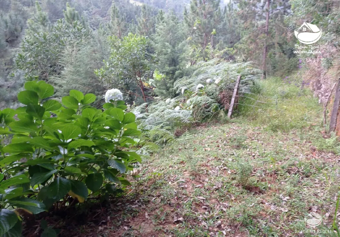 Small farm for sale of 10 acres in São José dos Campos, SP, Brazil