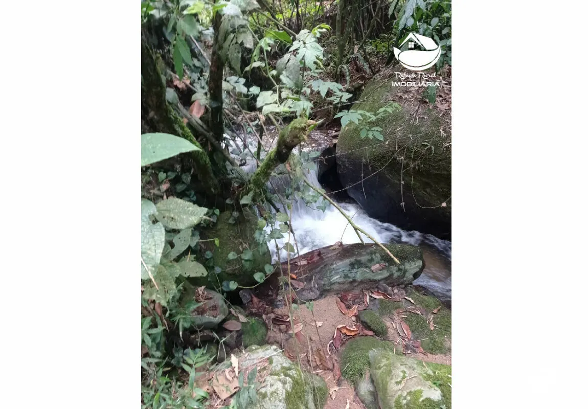 Small farm for sale of 10 acres in São José dos Campos, SP, Brazil