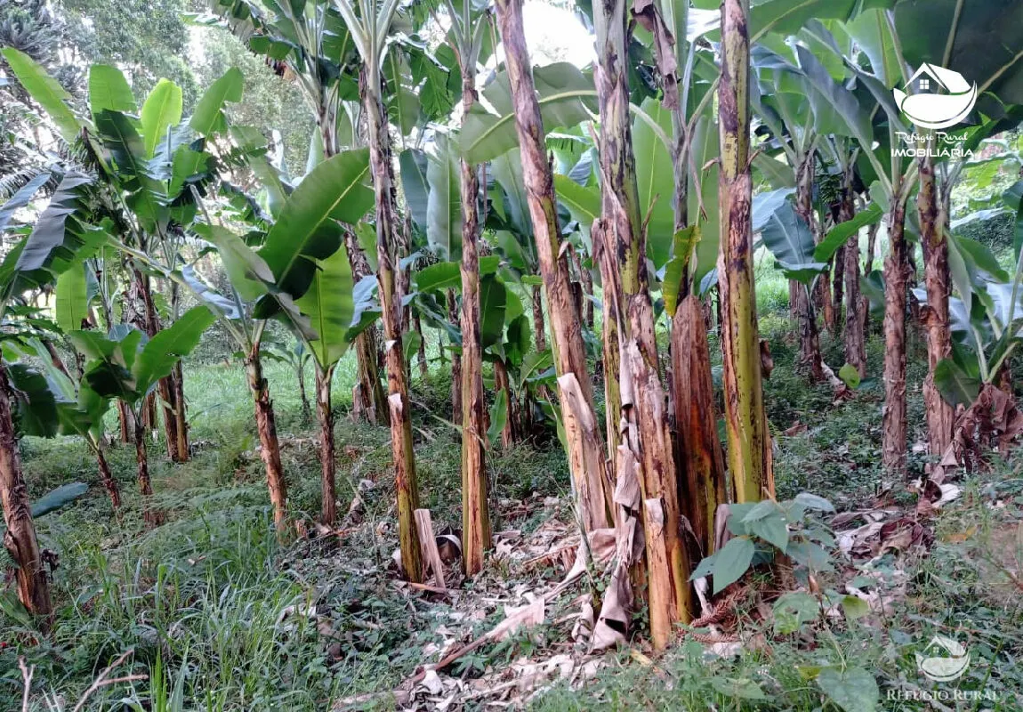 Small farm for sale of 10 acres in São José dos Campos, SP, Brazil