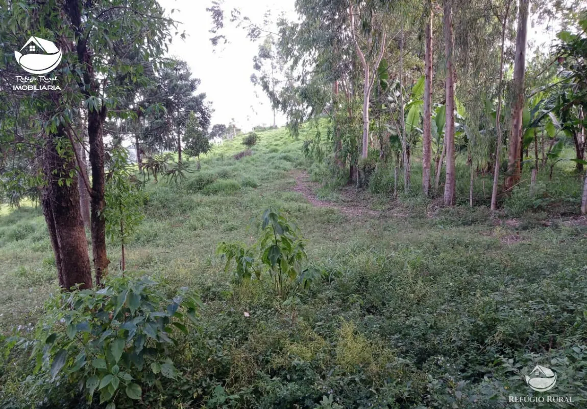 Small farm for sale of 10 acres in São José dos Campos, SP, Brazil