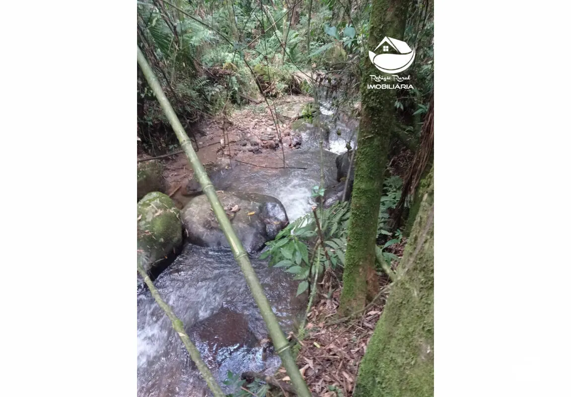 Small farm for sale of 10 acres in São José dos Campos, SP, Brazil