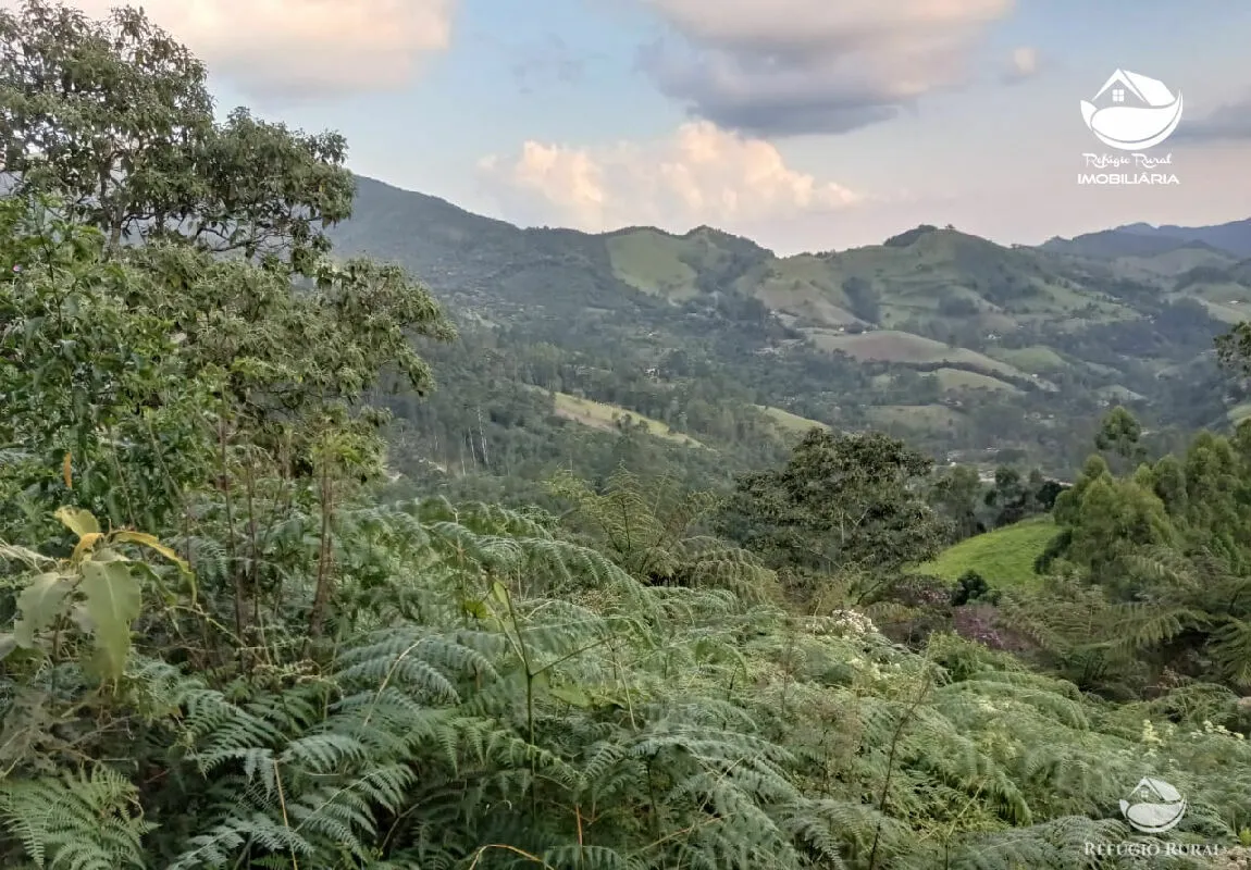 Small farm for sale of 10 acres in São José dos Campos, SP, Brazil