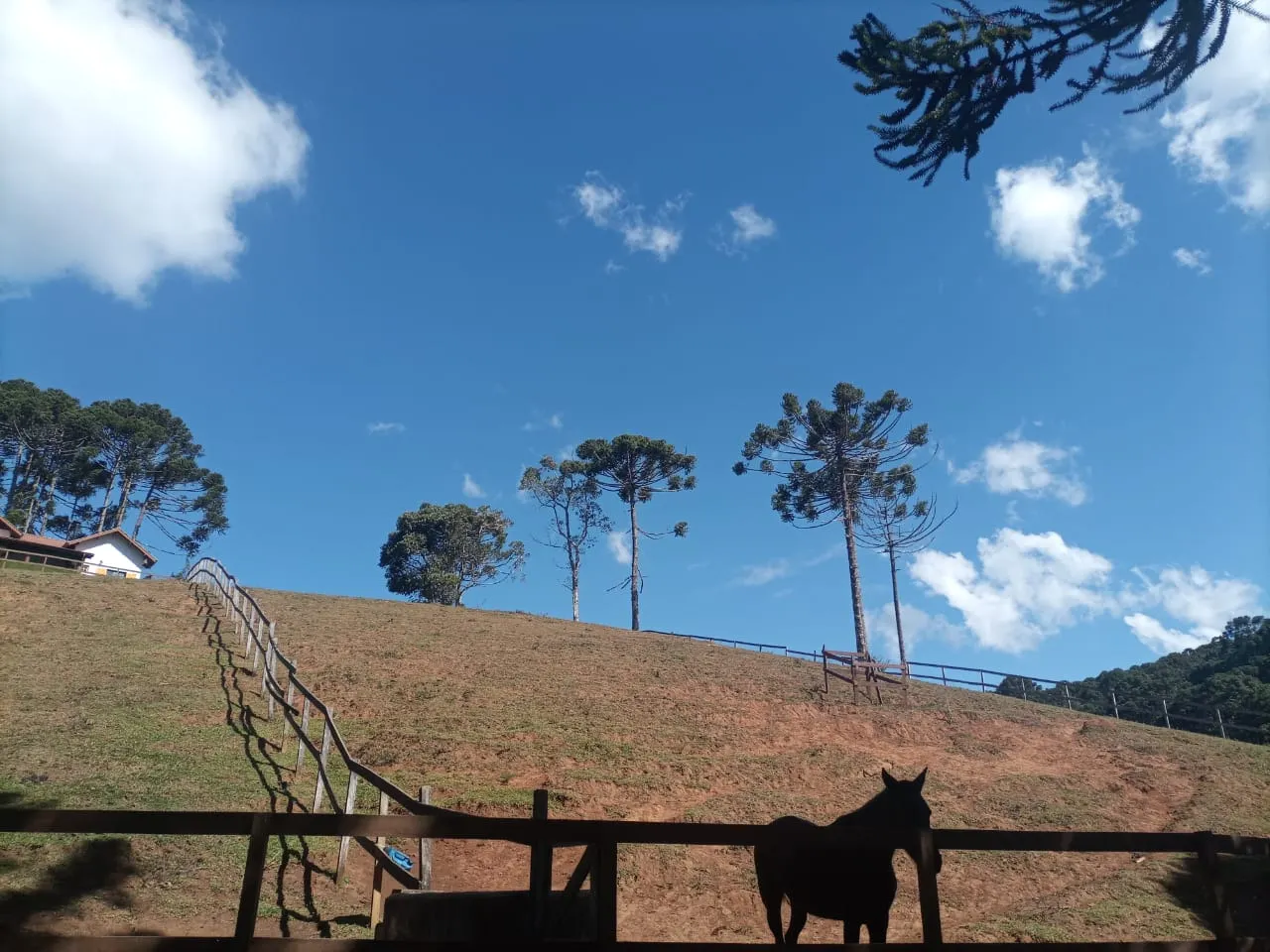Small farm for sale of 14 acres in Sapucaí-Mirim, MG, Brazil