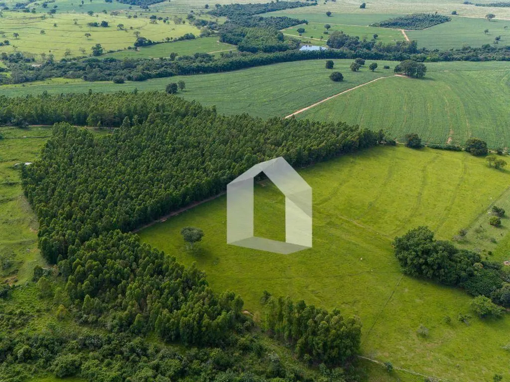 Fazenda à venda de 138 ha em Echaporã, SP, Brasil
