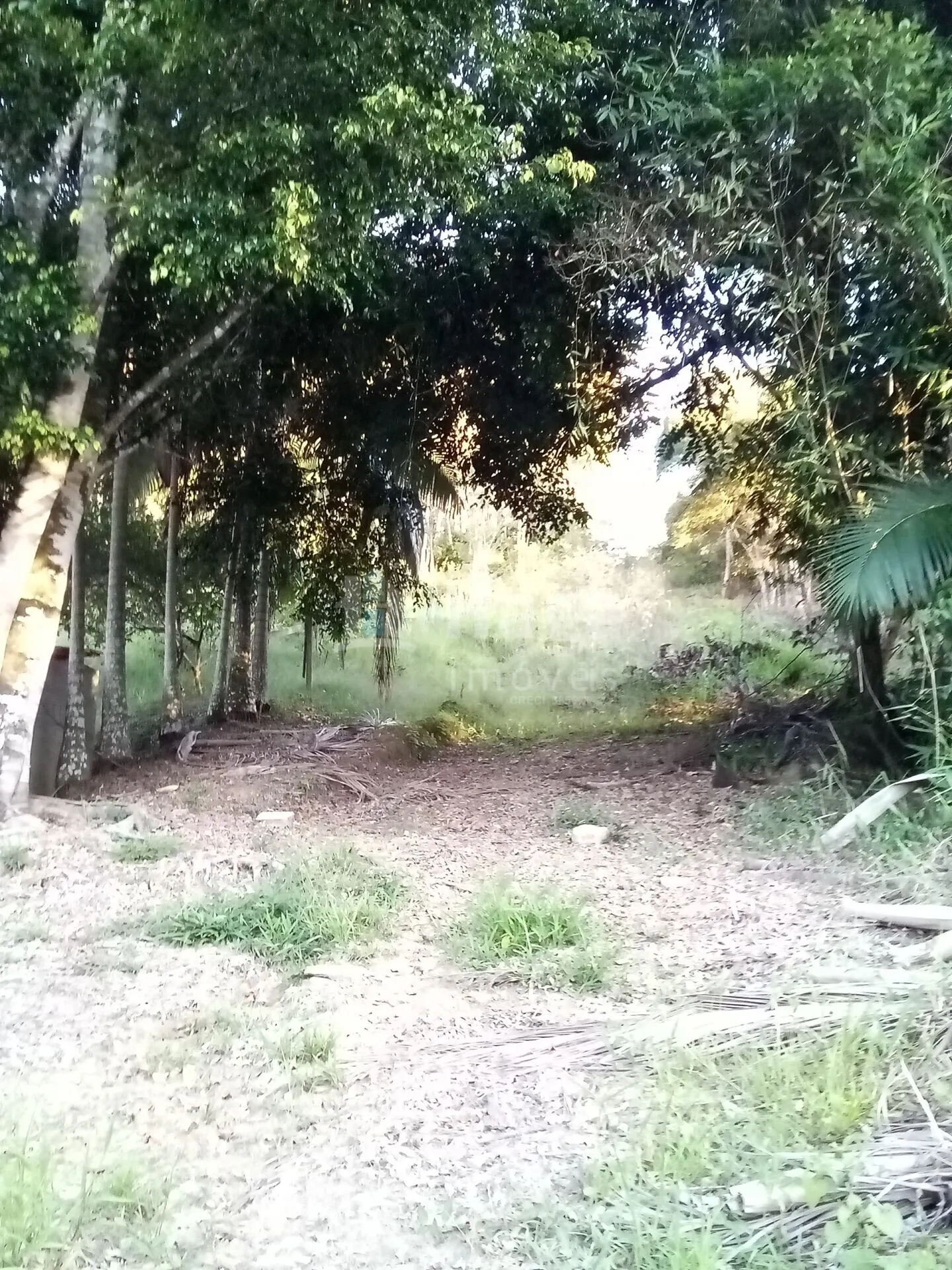 Fazenda à venda de 7.119 m² em Guabiruba, SC, Brasil