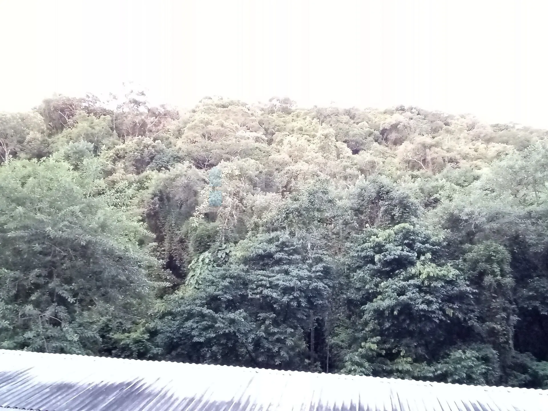 Fazenda à venda de 7.119 m² em Guabiruba, SC, Brasil