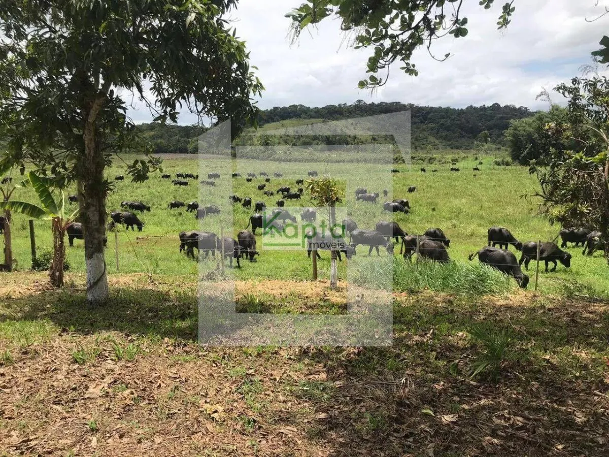 Sítio à venda de 5 ha em Iguape, SP, Brasil