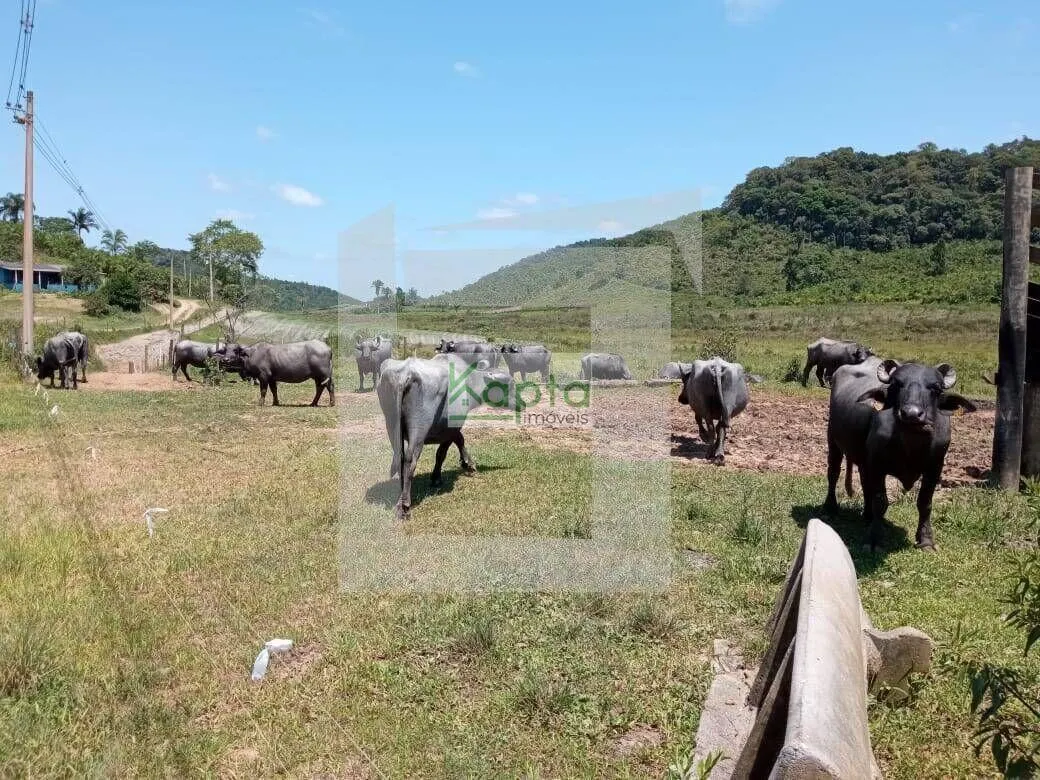 Small farm for sale of 12 acres in Iguape, SP, Brazil