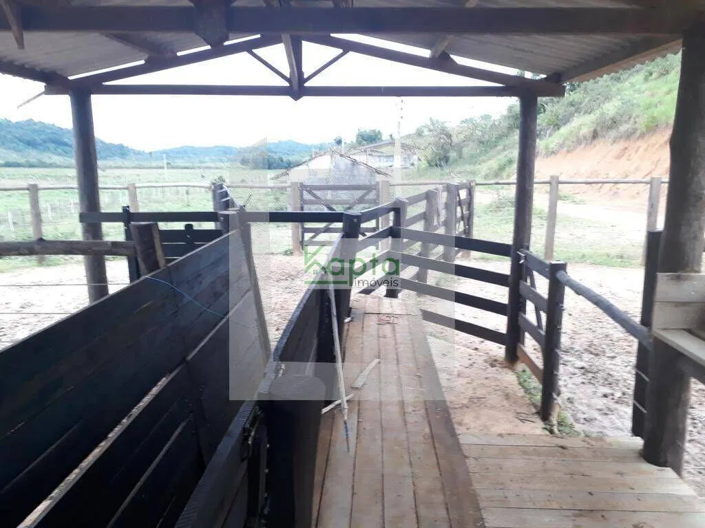Small farm for sale of 12 acres in Iguape, SP, Brazil