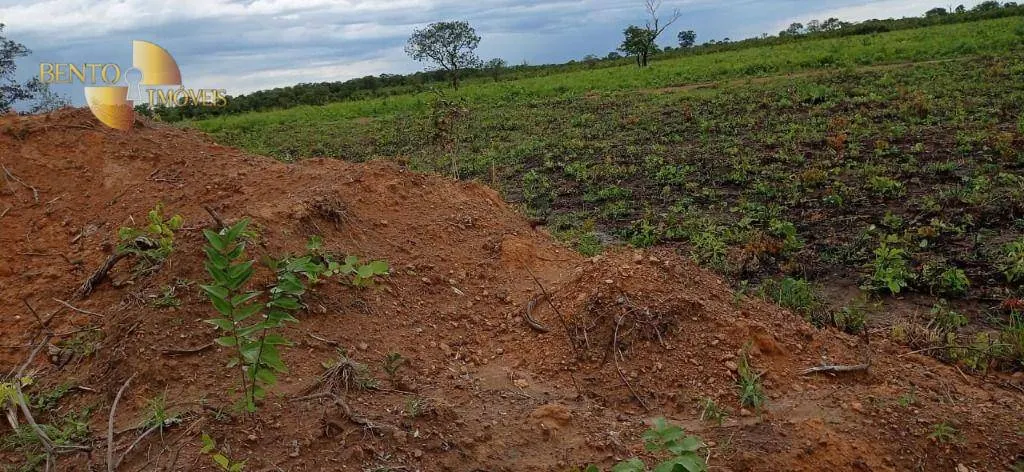 Fazenda à venda de 1.094 ha em Porto Alegre do Norte, MT, Brasil