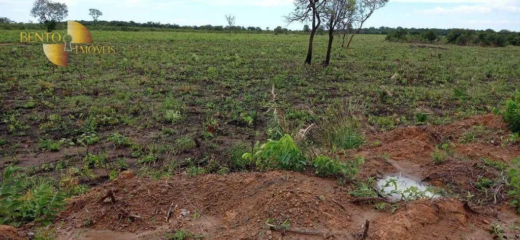 Fazenda à venda de 1.094 ha em Porto Alegre do Norte, MT, Brasil