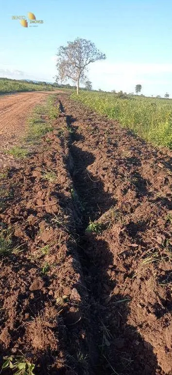 Fazenda à venda de 1.094 ha em Porto Alegre do Norte, MT, Brasil