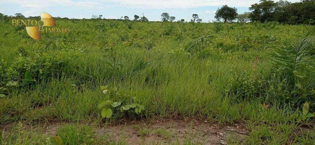 Fazenda à venda de 1.094 ha em Porto Alegre do Norte, MT, Brasil