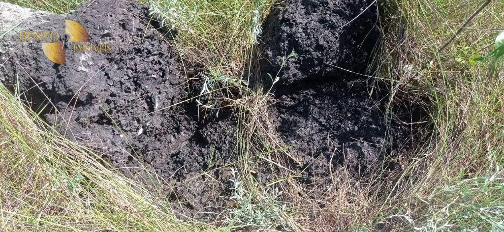 Fazenda à venda de 1.094 ha em Porto Alegre do Norte, MT, Brasil
