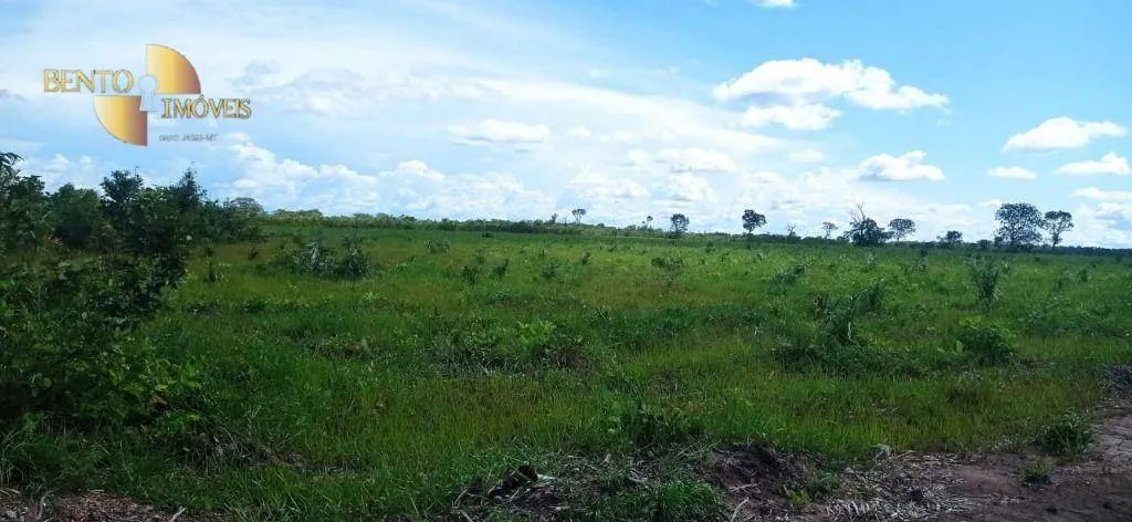 Fazenda à venda de 1.094 ha em Porto Alegre do Norte, MT, Brasil