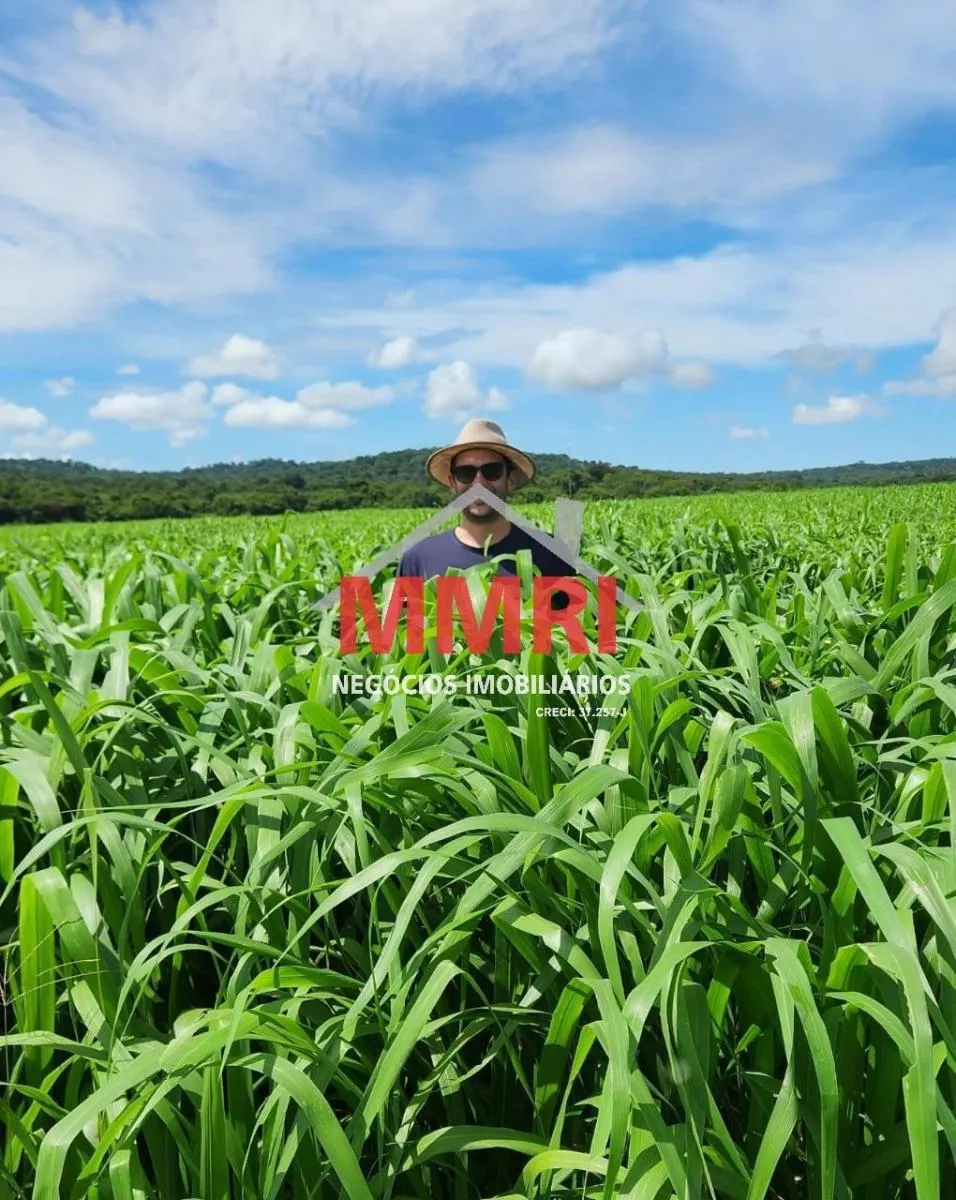 Fazenda à venda de 1.033 ha em Araçoiaba da Serra, SP, Brasil