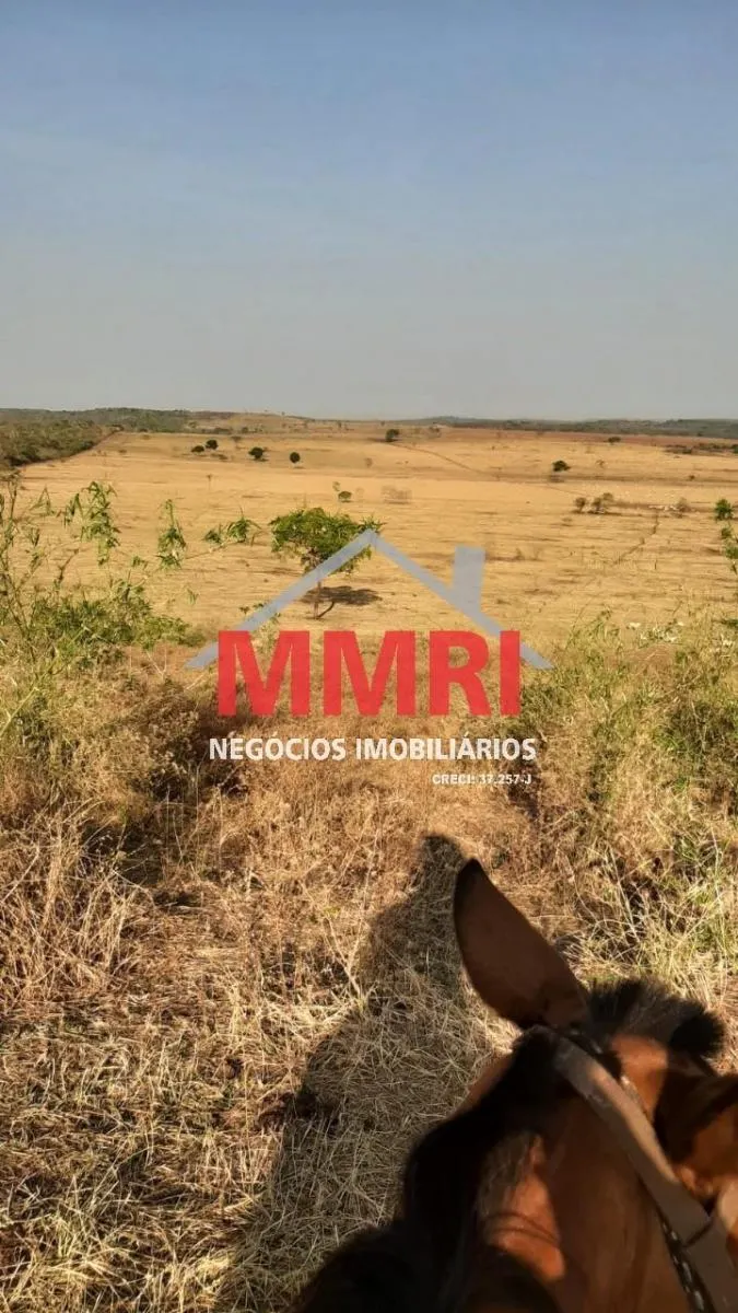 Fazenda à venda de 1.033 ha em Araçoiaba da Serra, SP, Brasil